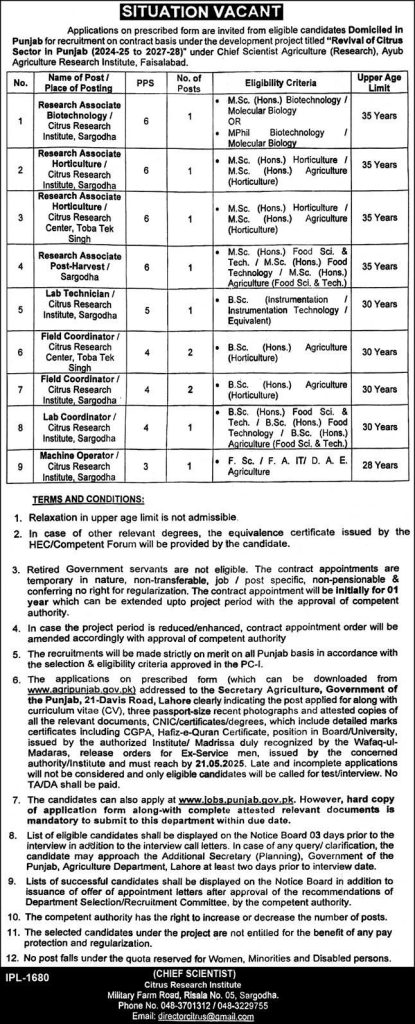 Ayub Agriculture Research Institute Faisalabad Agriculture Department Govt of Punjab Jobs 2025